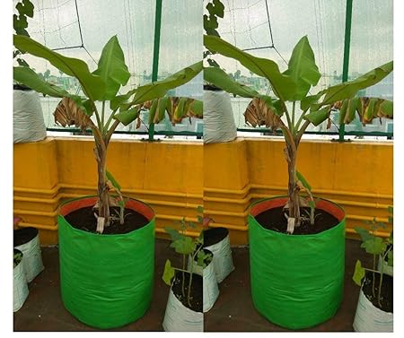 YUVAGREEN Plastic Big Size Terrace Gardening Grow Bag for Fruits 24