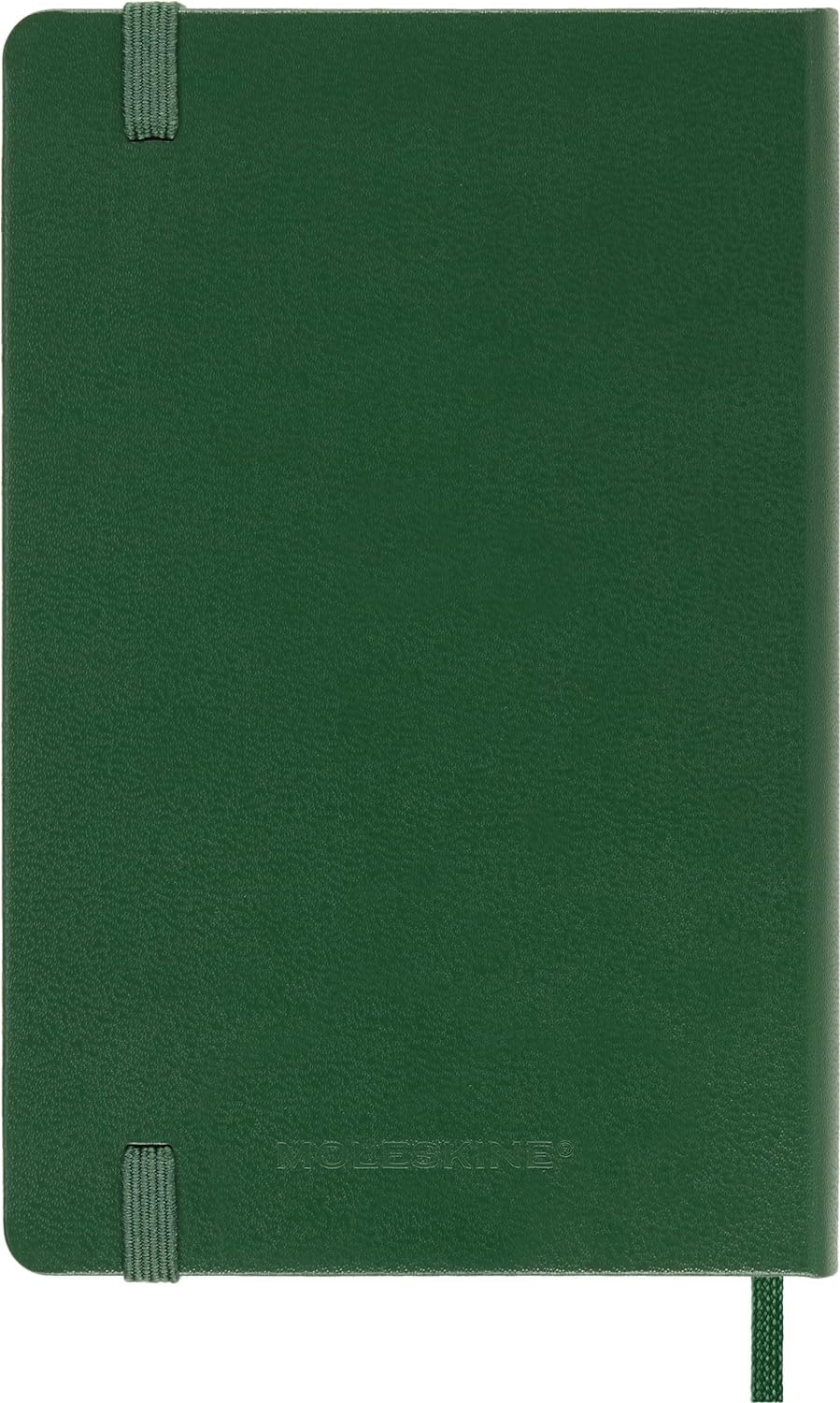 View 8