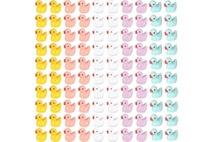 HEQU 100 Pcs Mini Ducks to Hide 5 Colors Tiny Ducks Mini Resin Animals for Fair Garden Accessories Dollhouse DIY Craft Micro 