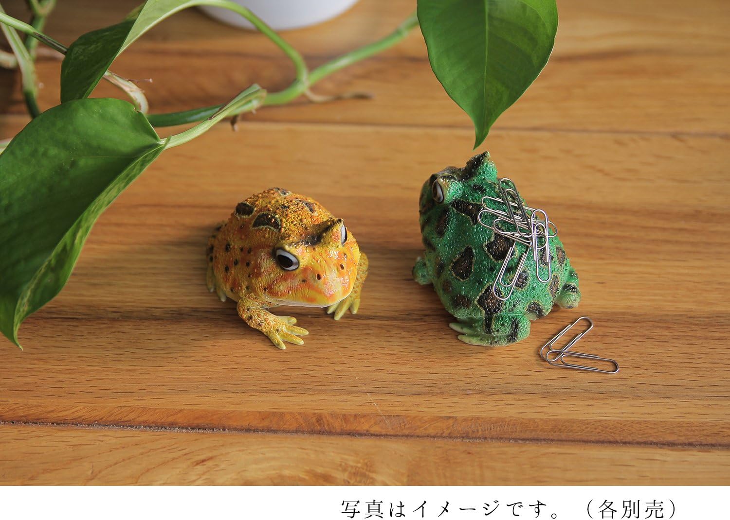 Amazon レプティスマグ ホーンドフロッグ ツノガエル イエロー 5 5 7 5 5cm ペーパークリップケース 文房具 オフィス用品