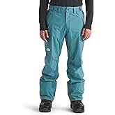 The North Face mens Freedom Pants