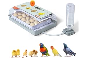 NORJIN 20 Egg Incubator with Automatic Egg Turning and Humidity Control, Chicken Egg Incubator for Hatching Eggs, Automatic Water Adding, Egg Candler for Hatching Chicken Duck Quail Bird Eggs