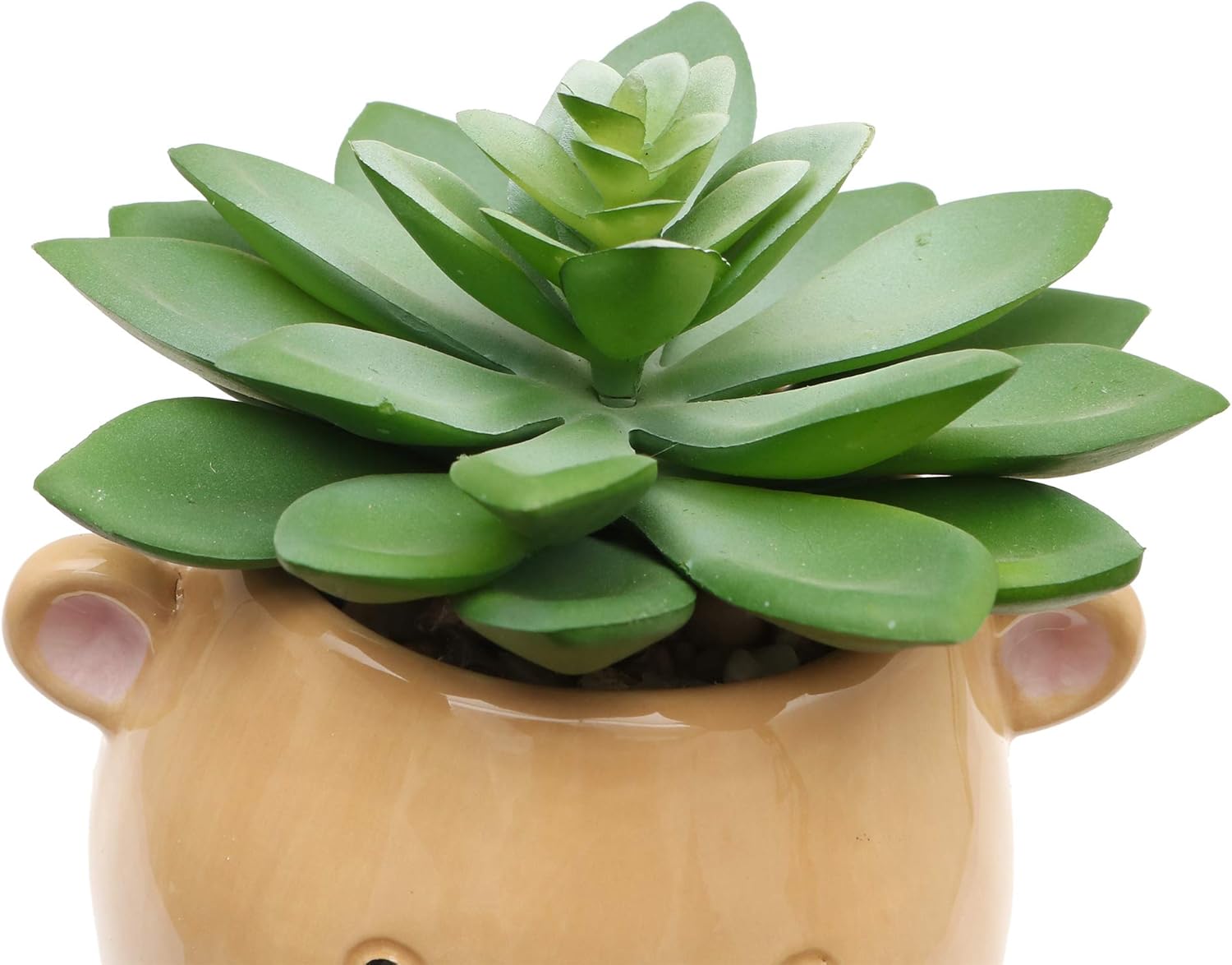 Plantas de Simulación Decorativas Falsas Suculentas Jardineras de