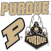 Desert Cactus Purdue University Sticker Boilermakers Vinyl Decals Laptop Water Bottle Car Scrapbook T5 (Type 5-1)