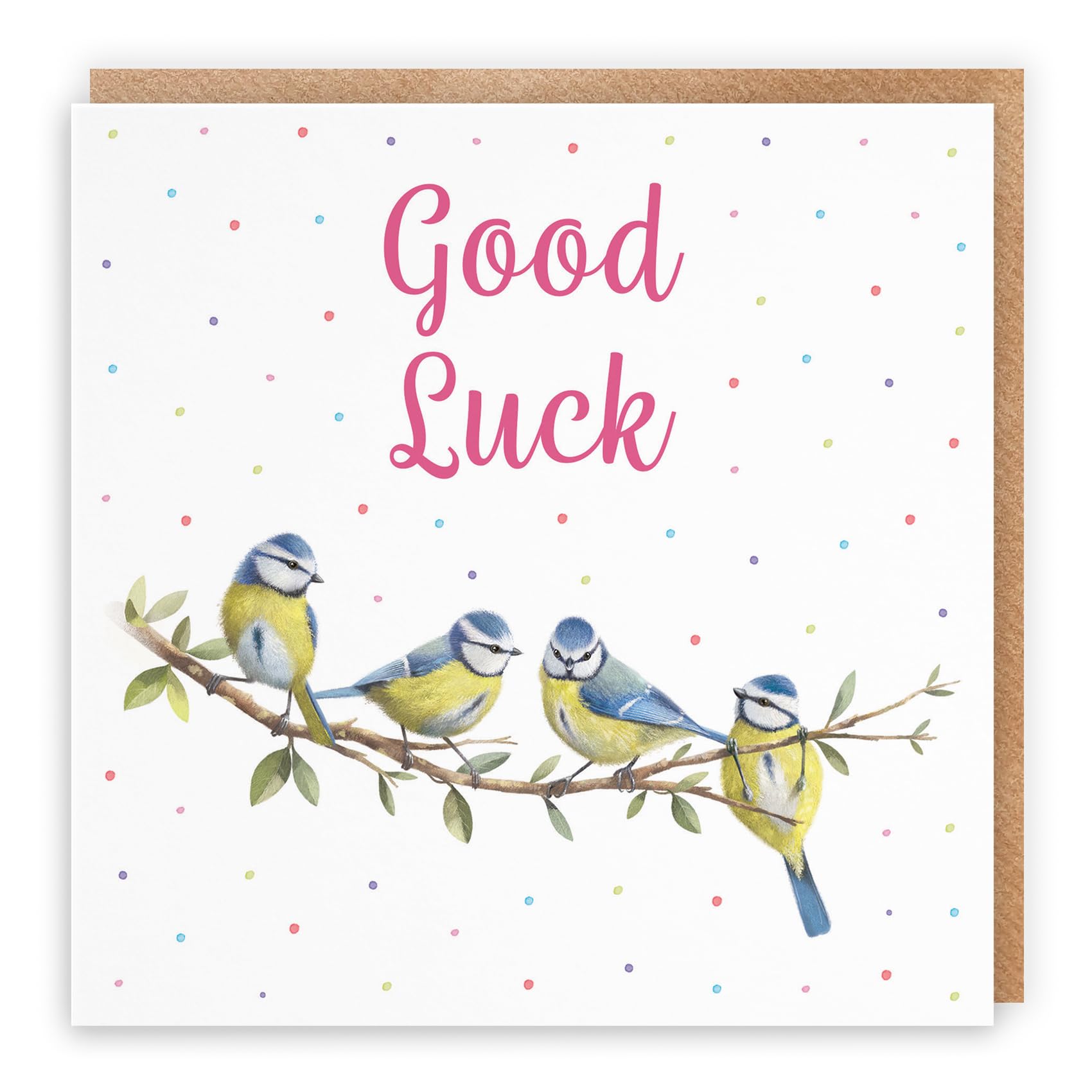 Hunts England - Blue Tits Good Luck Card For Her - Milo's Gallery - Female Card For Animal Lovers - Good Luck Card For Exams, Driving Test, New Job, Travelling, Moving, etc.