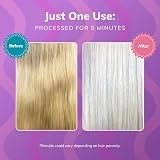 FANOLA No Yellow Shampoo 350ml Purple Toner for Grey Bleached Hair view 4