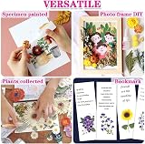 iDattel Dried Flowers Set for Arts & Crafts, Light Pink, DIY Jewelry view 5
