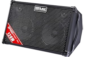 Coolmusic 120W Professional Acoustic Guitar Amp with Bluetooth | 7 Inputs, Studio-Grade Reverb/Chorus/Delay, 2-Band EQ | 3-Year Warranty