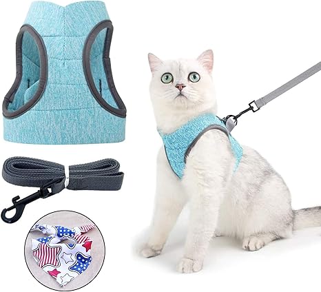 Taotigzu Harnais Chat Ultra Leger Ensemble Harnais Et Laisse Pour Chat Laisse Reglable Pour Chien Veste De Marche Douce Et Respirante Pour La Course De Chat Convient Pour Maine Coon Persan S Vert Amazon Fr