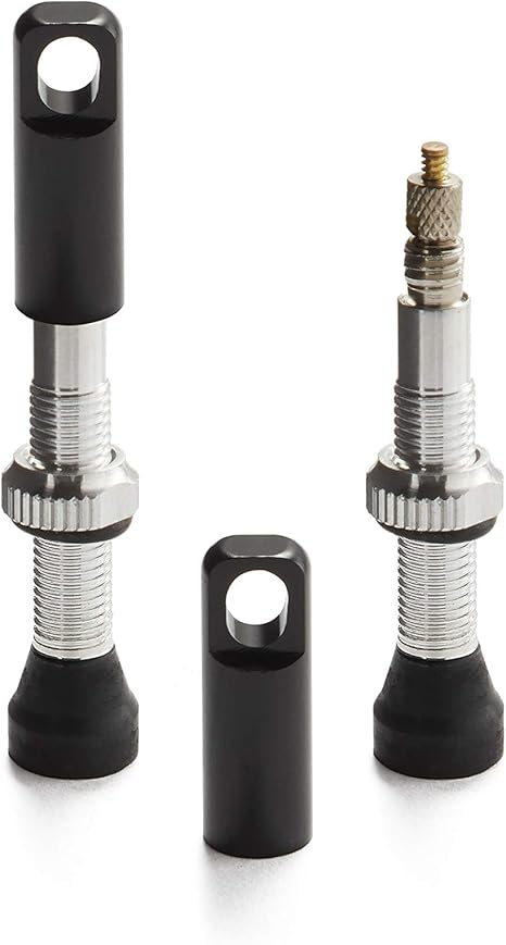 best tubeless valve stem mtb