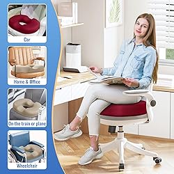 CloudBliss Donut Pillow Seat Cushion Chair Pad for