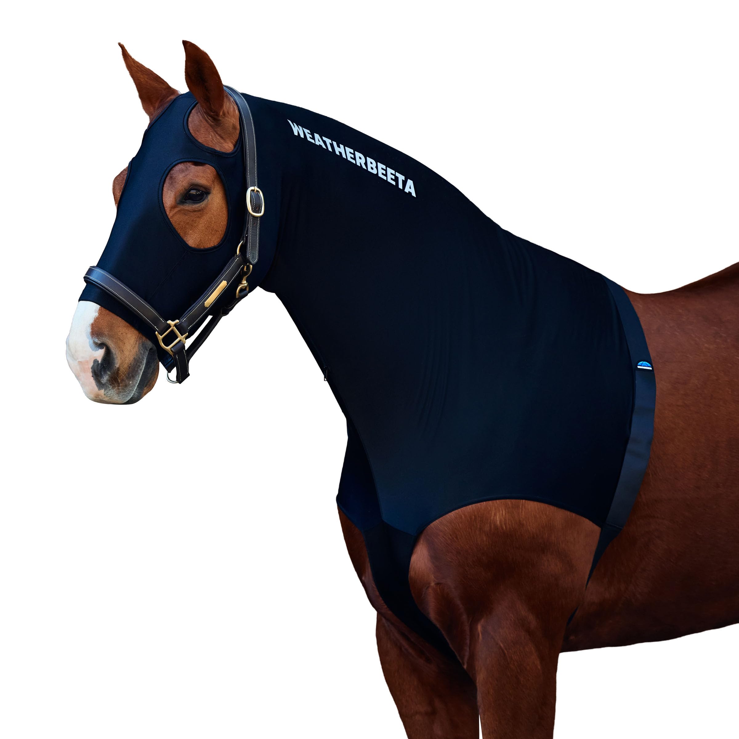 WeatherBeeta Stretch Hood with Zip, Black, Pony