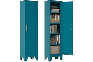 Washsemba 67''Farmhouse Metal Storage Cabinet with Barn Doors,Steel File Cabinet for Home Office,Kitchen Pantry 4 Adjustable Shelves,Freestanding Cupboard for Kitchen,HomeOffice (Peacock Blue)