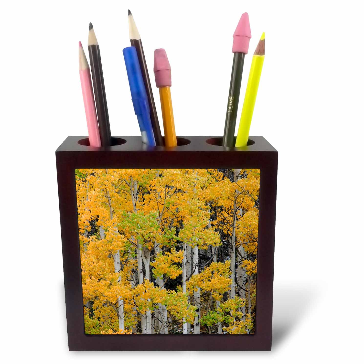 3dRose Autumn Aspen Tree Pattern on Mountain Slope, Ouray, Colorado-Tile Pen Holder, 5-Inch (Ph_278695_1), 5 Inches