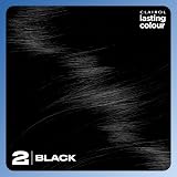 Clairol Lasting Colour Permanent Hair Dye Black 2 | Grey Coverage & Shine view 7