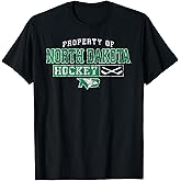 Elite Authentics North Dakota Fighting Hawks Hockey Vintage Property Black T-Shirt, Small