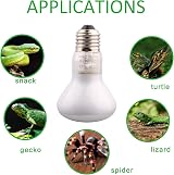 DERNORD 100W Reptile Heat Lamp E27 Build Pack 2 Daylight Bulbs Vivarium view 6