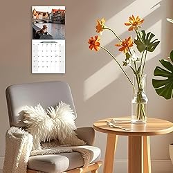 2025-2026 Wall Calendar Nova Scotia Duck Tolling