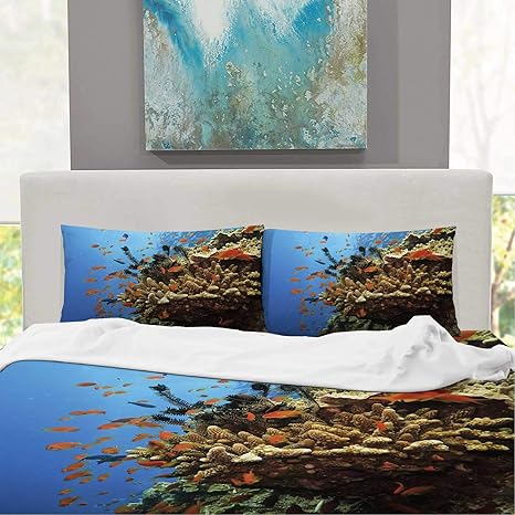 CUDEVS Colonia de Coral y Peces de Soldado en Gran Barrera de Arrecife