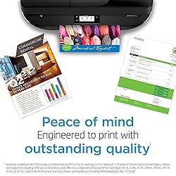 HP 65 Black Ink Cartridge | Works with HP AMP 100