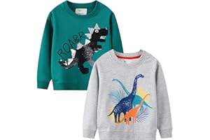 LOKTARC 2 Pack Toddler Boys Sweatshirts Patterned Long Sleeve Pullover Crewneck Tops Shirts
