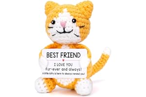 ZALOHIA Funny Cat Best Friend Friendship Gifts for Women Men, BFF Bestfriend Gifts for Friends Female Male, Birthday Presents Christmas Ornament Decor, Mini Cute Cool Things Stuff, Small Funny Kitten Kitty