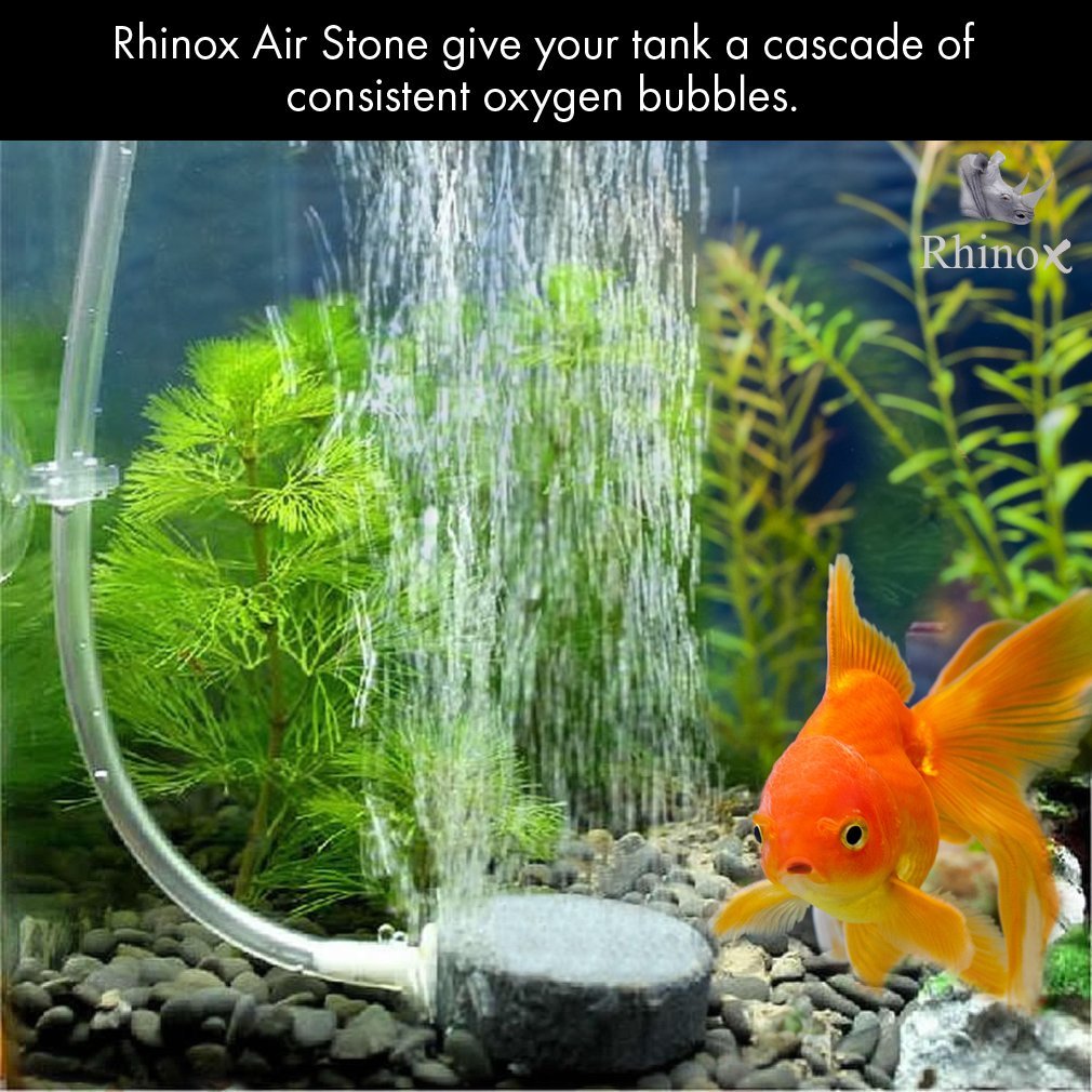 Rhinox Aerator Bubbler Set -- Additional oxygen promotes fish health - Increase water circulation - Unobtrusive, hides well in hydroponic or fish tank - Produce small bubbles as silent as in a library