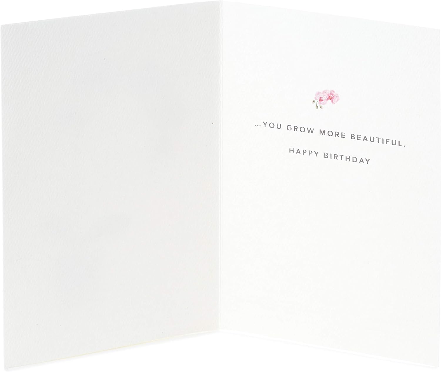 Hallmark Signature Birthday Card for Her (Orchid) : Office Products