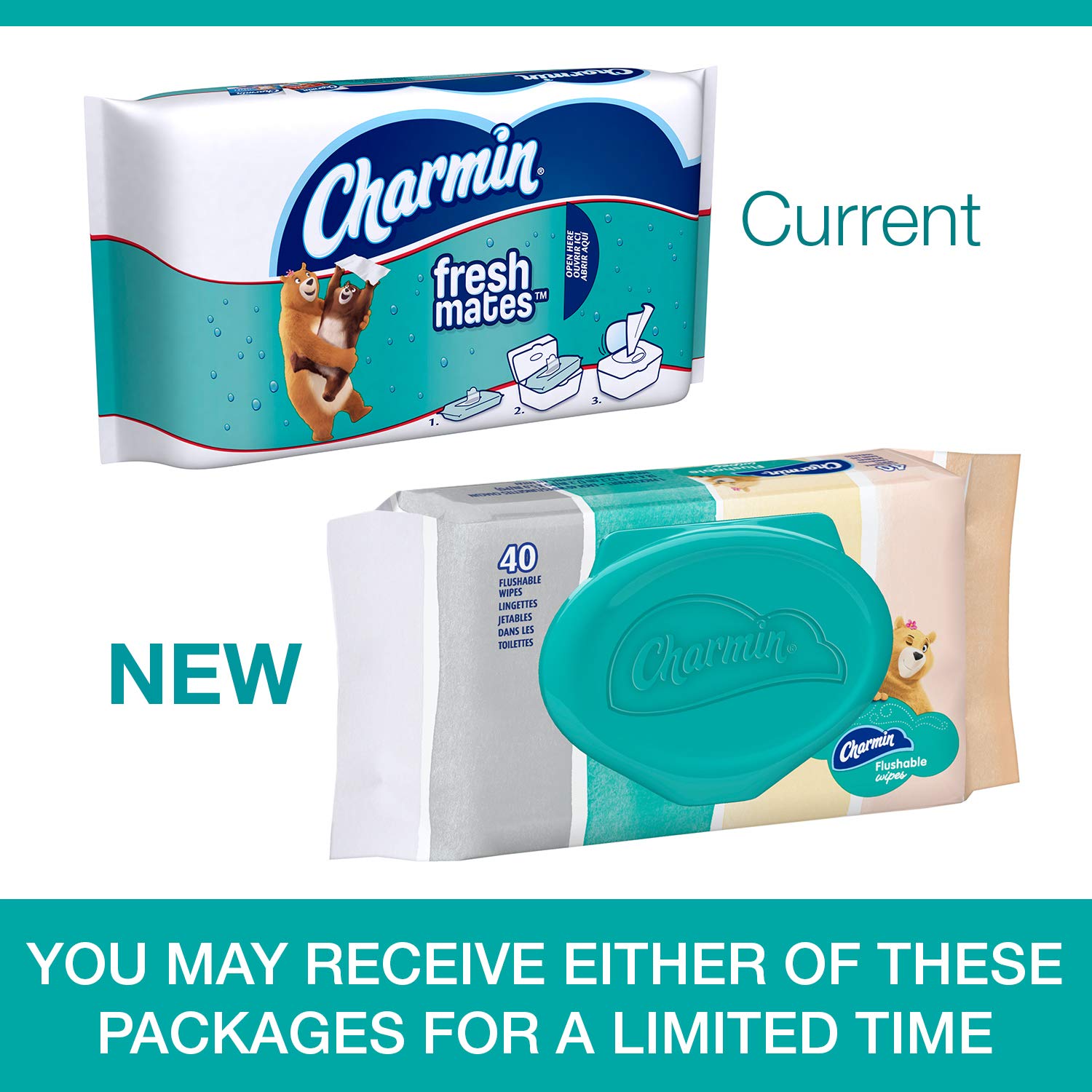 Galleon Charmin Freshmates Flushable Wet Wipes, 40 Count (Pack Of 12)