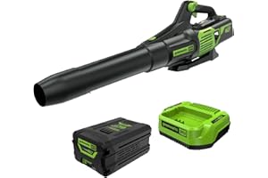 Greenworks 60V (610 CFM / 130 MPH) Cordless Leaf Blower, High Power, Lightweight & Quiet Operation for Wet Leaves, Driveways and Dense Gravel, Includes 2.5Ah Battery & 5A Rapid Charger