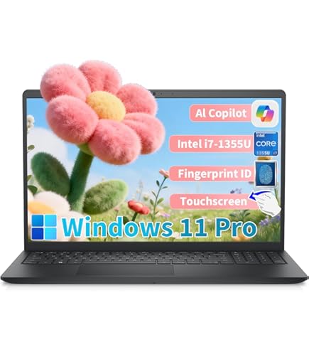 Amazon.com: Dell Inspiron 15.6