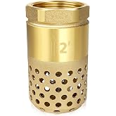 Brass Foot Valve, 2 inch NPT Spring Mesh Check Valve Female Connection One Way Foot Valve Backflow Preventer with Holes Strainer Filter(2'' NPT)