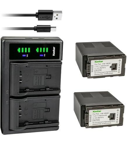 Amazon.com: FITHOOD Replacement Battery for AG-AC160AEJ AG-AC160AP