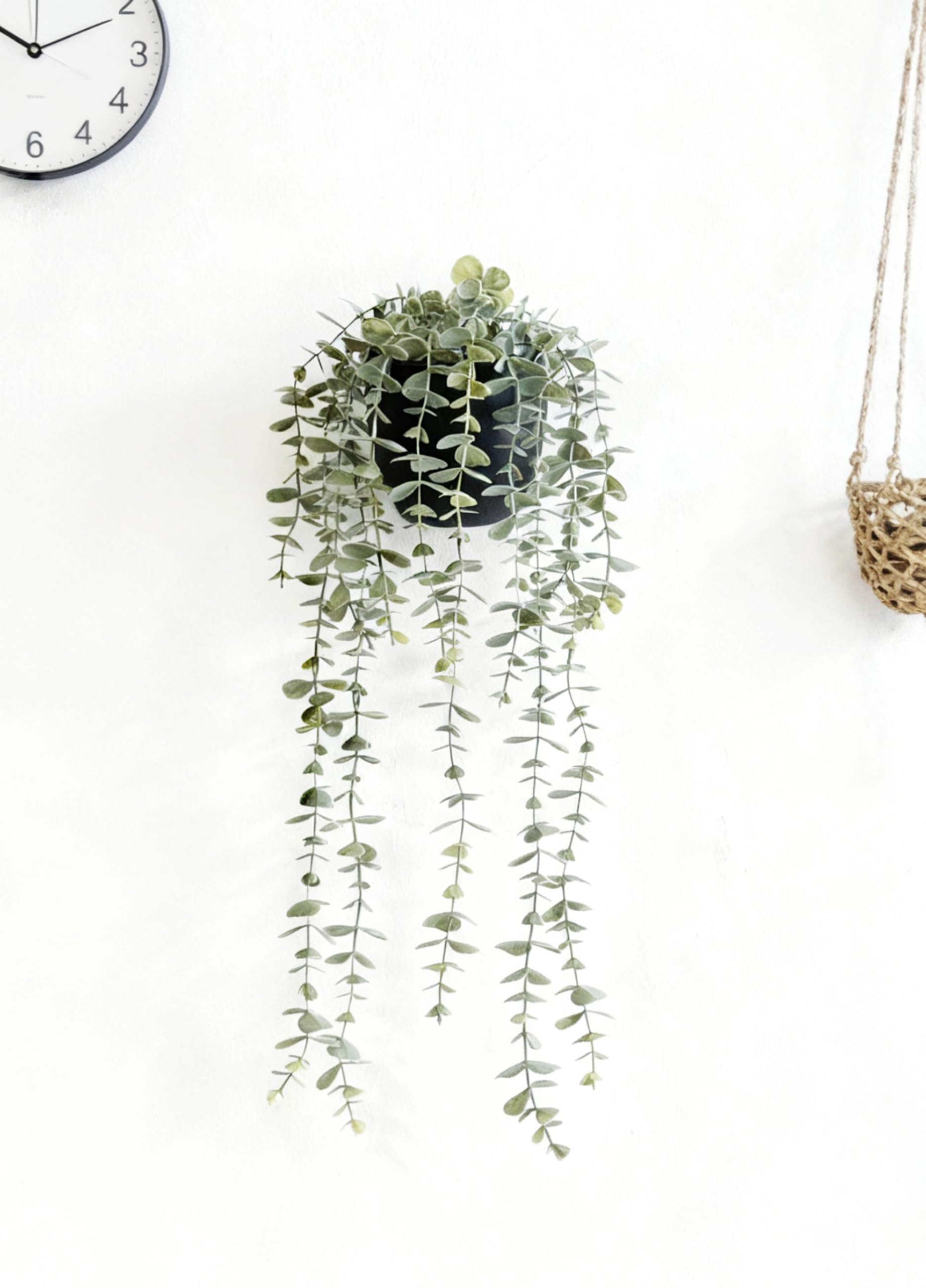 Mr. Bom Artificial Hanging Plant Fake Eucalyptus Trailing Plants with Pot for Indoor Outdoor Room Décor