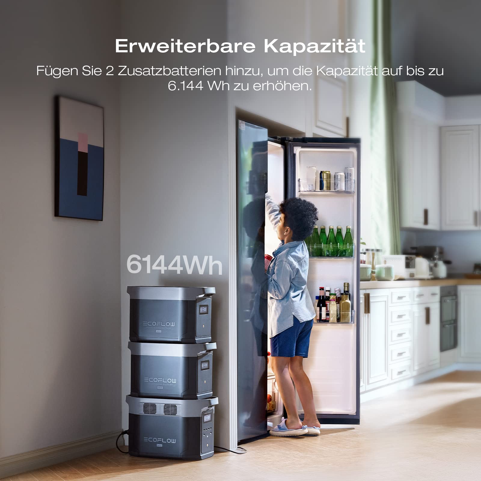 EcoFlow DELTA 2 Max tragbare Powerstation 2048Wh, erweiterbar 2-6 kWh, LFP-Batterie mit 3000 Zyklen, 80% Ladung <1 Std, 3000W Max Ausgangsleistung, Solargenerator für Zuhause, Camping, Wohnmobil 2