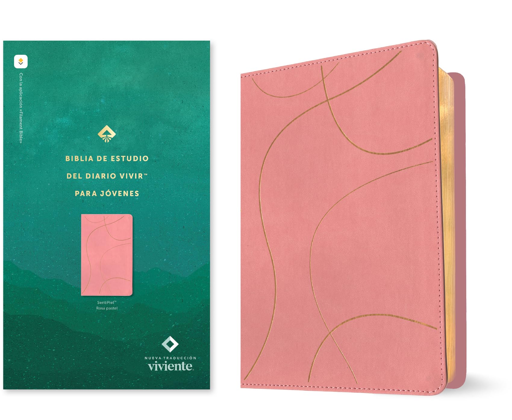 Biblia de estudio del diario vivir para jóvenes NTV con Filament (SentiPiel, Rosa pastel, Letra Roja) (Spanish Edition) Biblia de estudio del diario vivir para jóvenes NTV con Filament (SentiPiel, Rosa pastel, Letra Roja) (Spanish Edition) Imitation Leather
