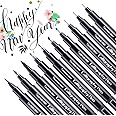Calligraphy Pens, Hand Lettering Pen, 10 Size Caligraphy Brush Pens for Beginner, Writing, Sketching, Drawing, Illustration, 