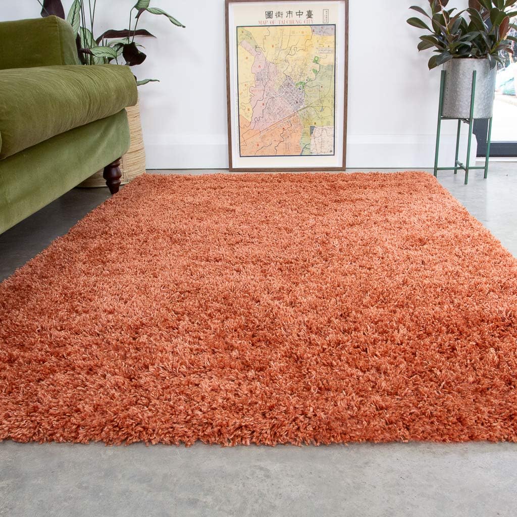 Terracotta Thick Shaggy Rug Orange Plush Affordable Super Soft Fluffy Shag Rugs Living Room Area