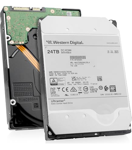 Western Digital WD Ultrastar HC570 WUH722222ALE6L4 22TB 7200RPM
