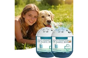 2026 New Indoor Air Purification Dust Removal Magic Box - Air Magic Box, Long-Lasting Freshness Dust Removal Box, Automatic D