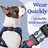 rabbitgoo Dog Harness Large No-Pull Front Back Clips Reflective Blue L view 4