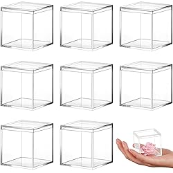 Blulu 8 Pieces Clear Acrylic Plastic Jewelry Box