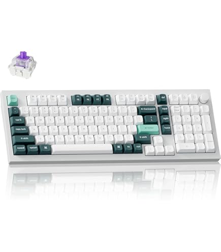 Amazon.com: Keychron Q1 HE QMK Rapid Trigger Wireless Custom