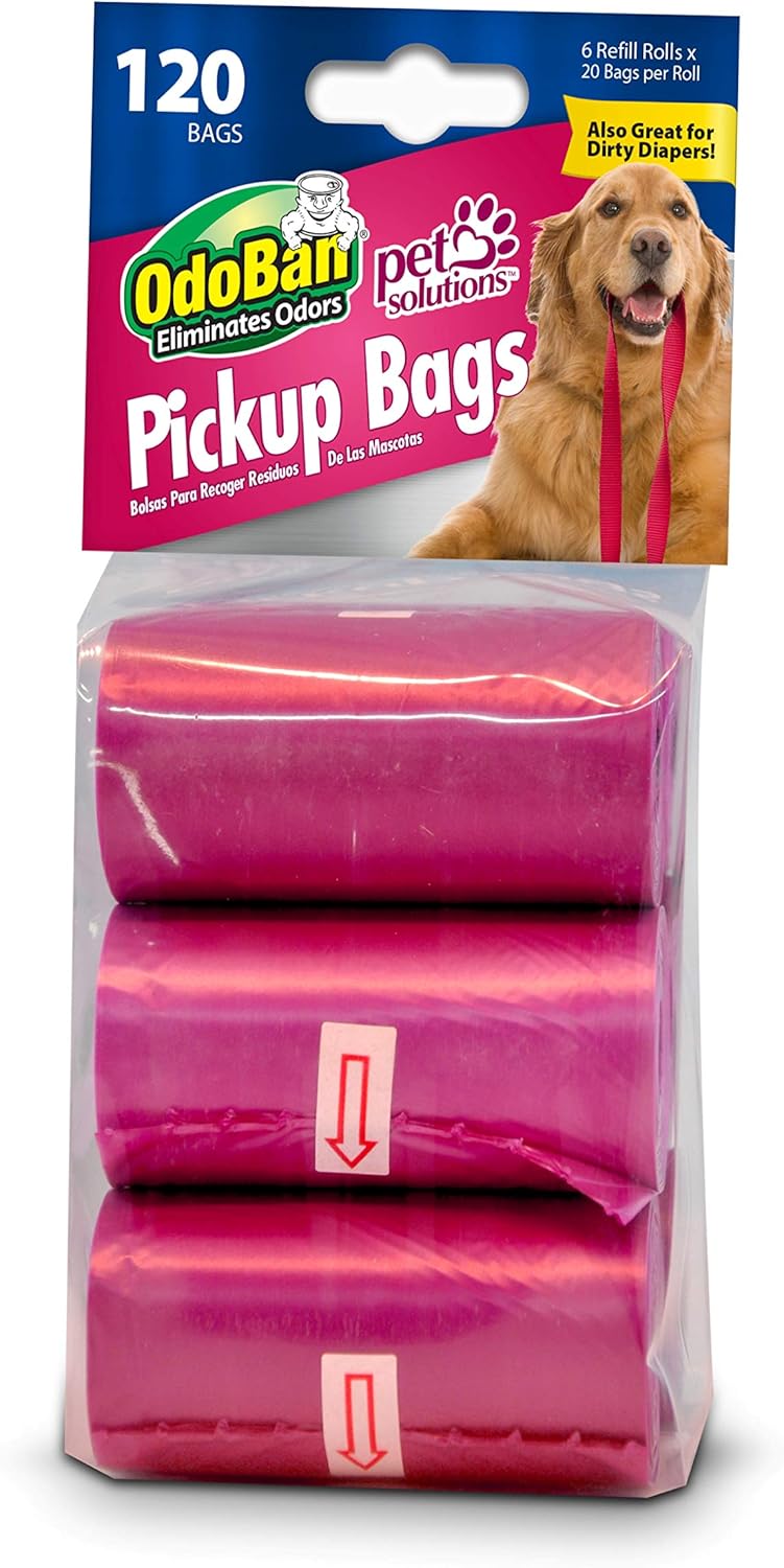 12 week old puppy peeing in house