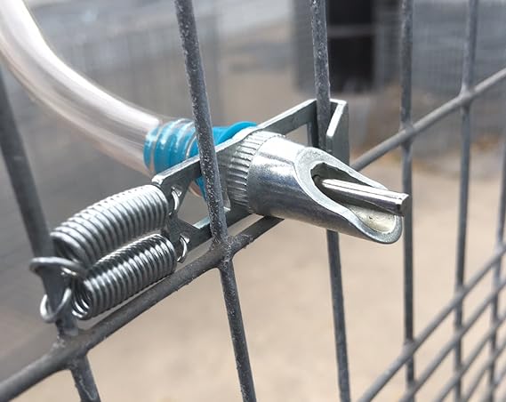 rabbit nipple water system