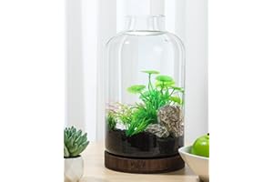 PONDON 1.3 Gallon Fish Bowl Vase, Glass Plant Terrarium Kit, Complete with Wooden Base and Water Changer