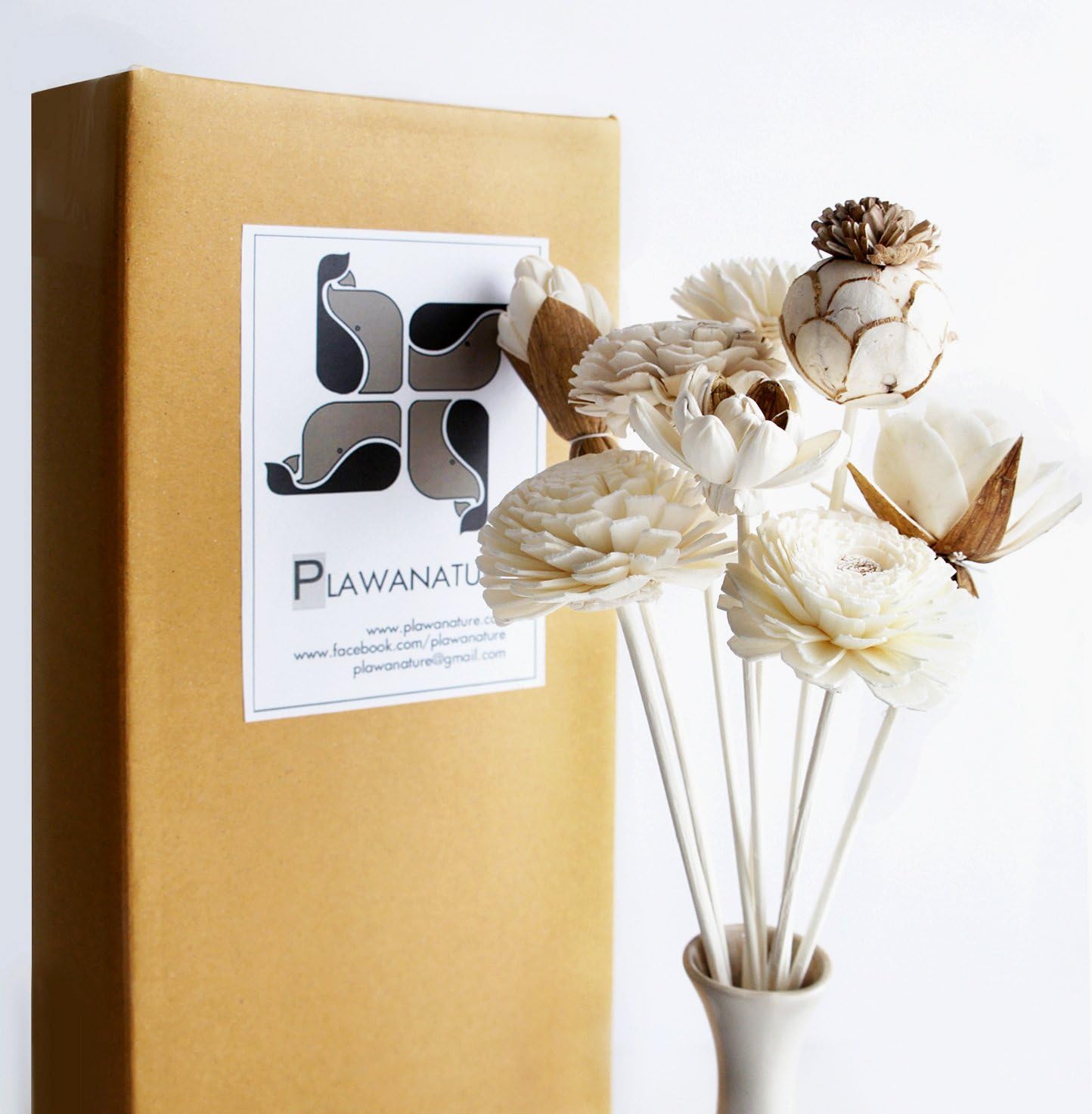 Exotic Plawanature Set of 8 Mixed Sola Wood Flower with Reed Diffuser for Home Fragrance Aroma Oil.