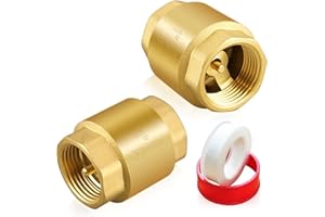 Boltigen 2PCS 1 Inch NPT Female Thread Spring Check Valve, Solid Brass Non Return One Way Horizontal Vertical In-Line Water Check Valve for Well, Pump, Tank, Backflow Prevention