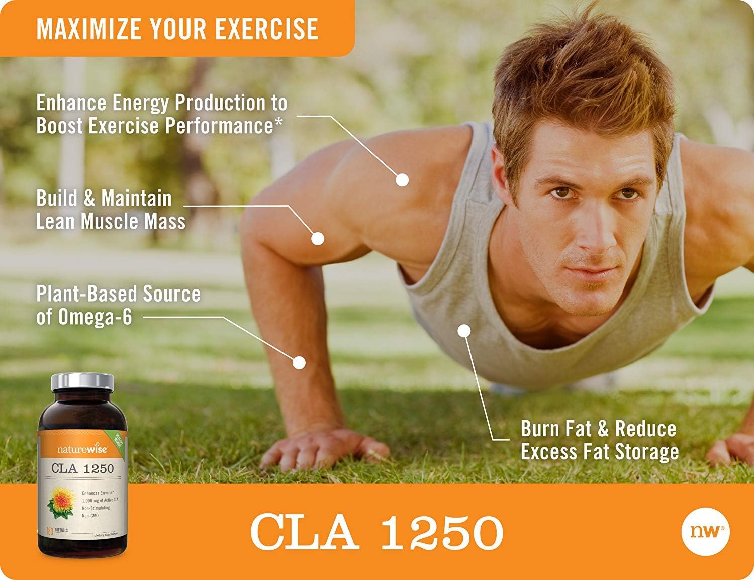 NatureWise CLA 1250 Natural Weight Loss Exercise Enhancement (2 Month Supply), Increase Lean Muscle Mass, Non-Stimulating, Non-GMO, Gluten-Free, & 100% Safflower Oil (Packaging May Vary) [180 Count]: Health & Personal Care