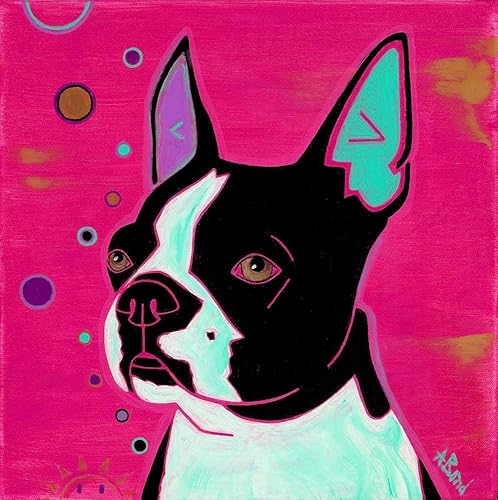 all american terrier